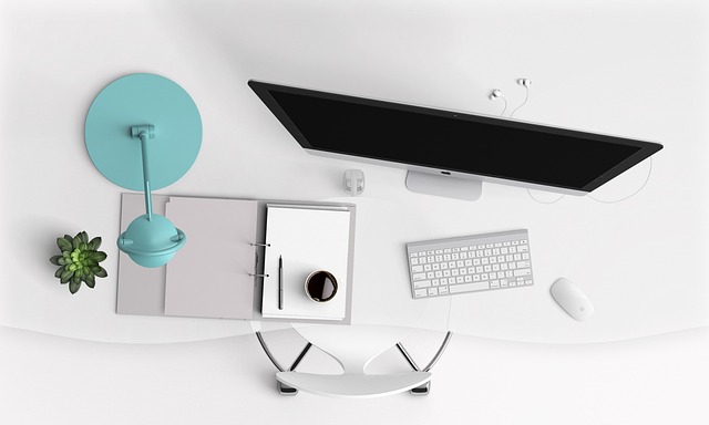 minimalist studio office interior in Toronto with light wood desk and greenery